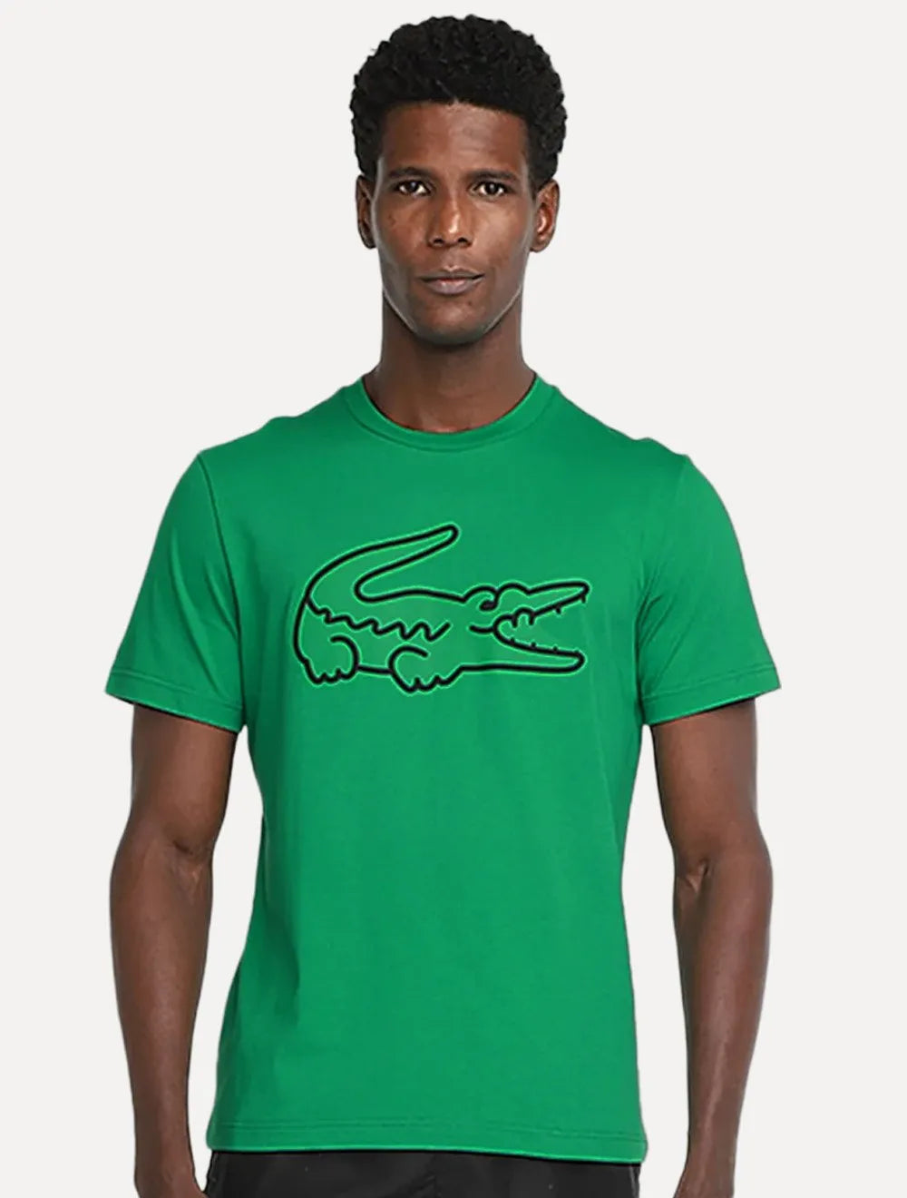 Camiseta Lacoste Masculina Regular Fit Print Croco Verde
