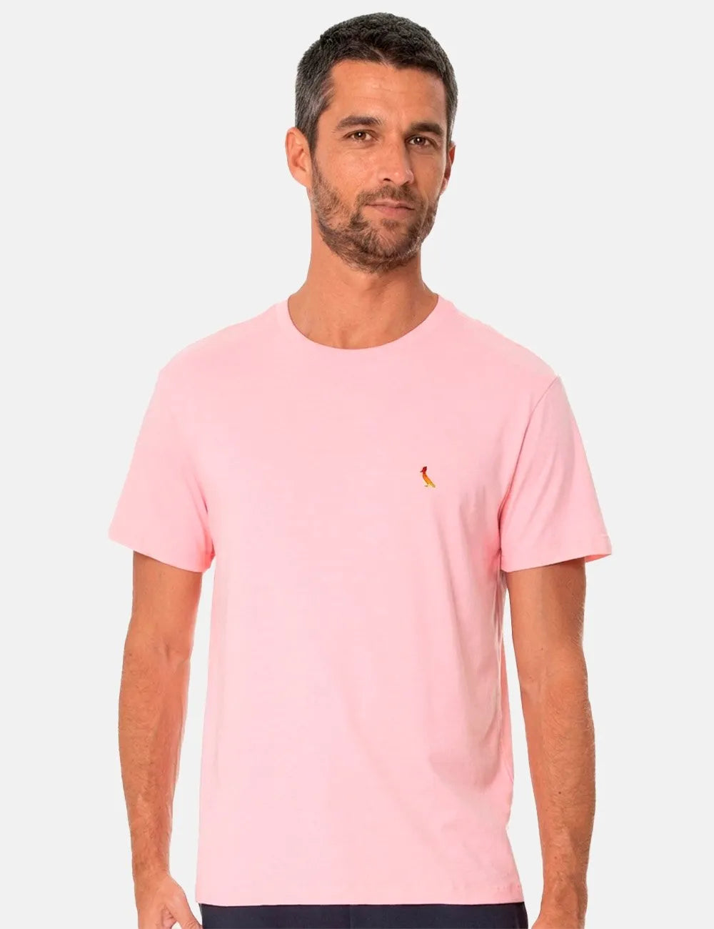 Camiseta Reserva Masculina Gradient Woodpecker Rosa Claro