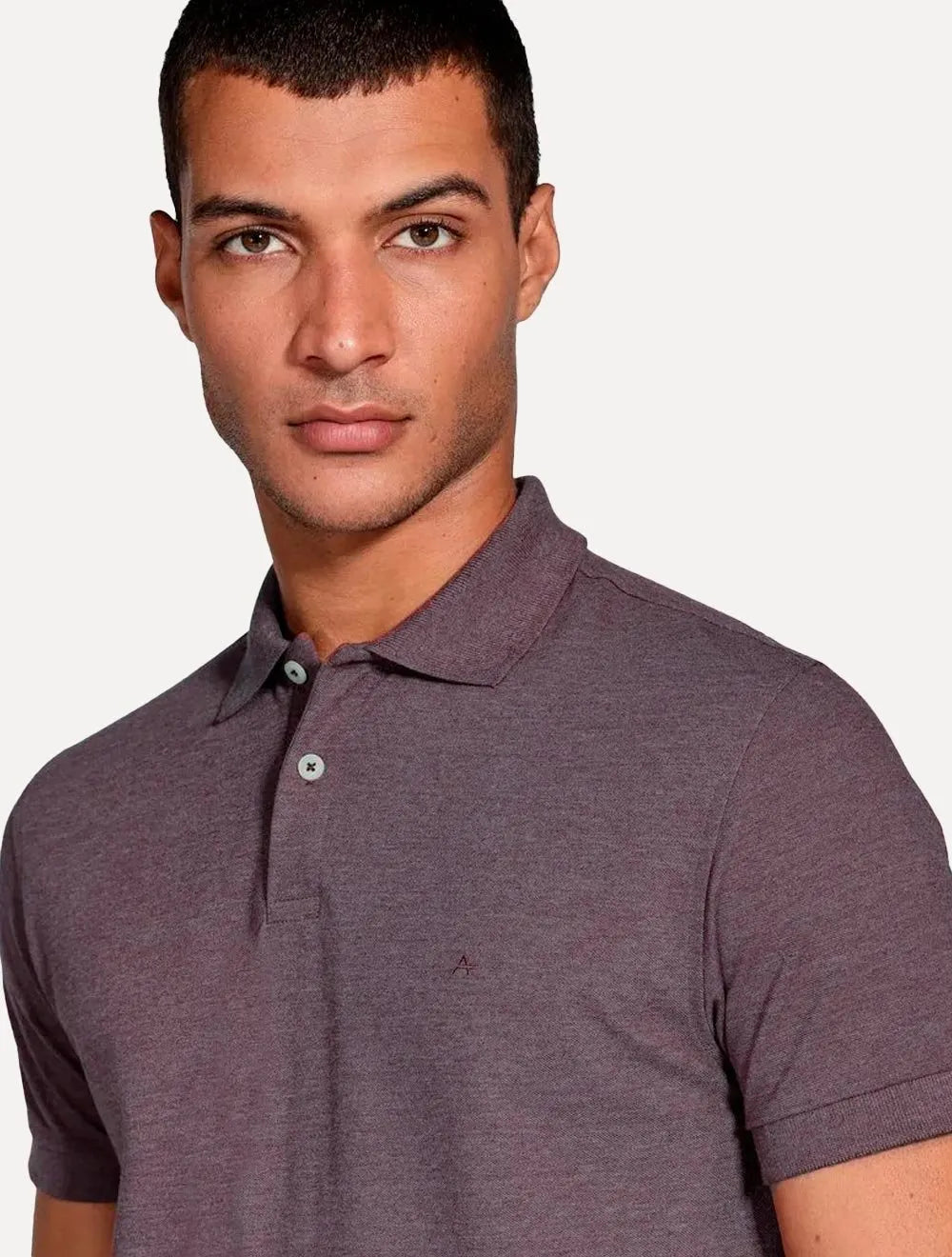 Polo Aramis Masculina Regular Basic Piquet Roxo Mescla