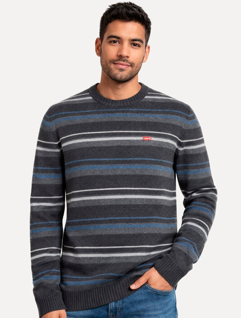 Suéter Levis Masculino Crewneck Classic Housemark Listrado Logo Cinza