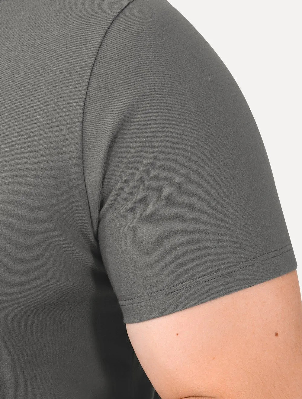 Camiseta Guess Masculina World Tour 2021 Grafite