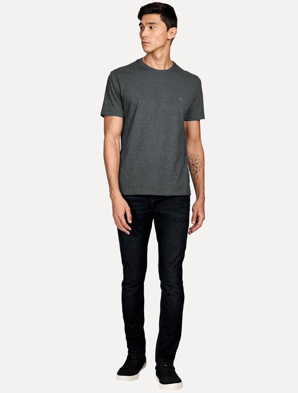 Camiseta Aramis Masculina Basic Light Logo Lisa Grafite