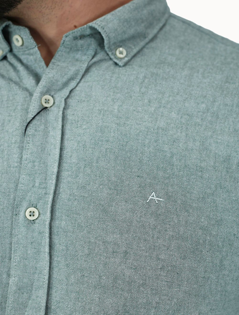 Camisa Aramis Masculina Slim Oxford Planalto Verde Claro