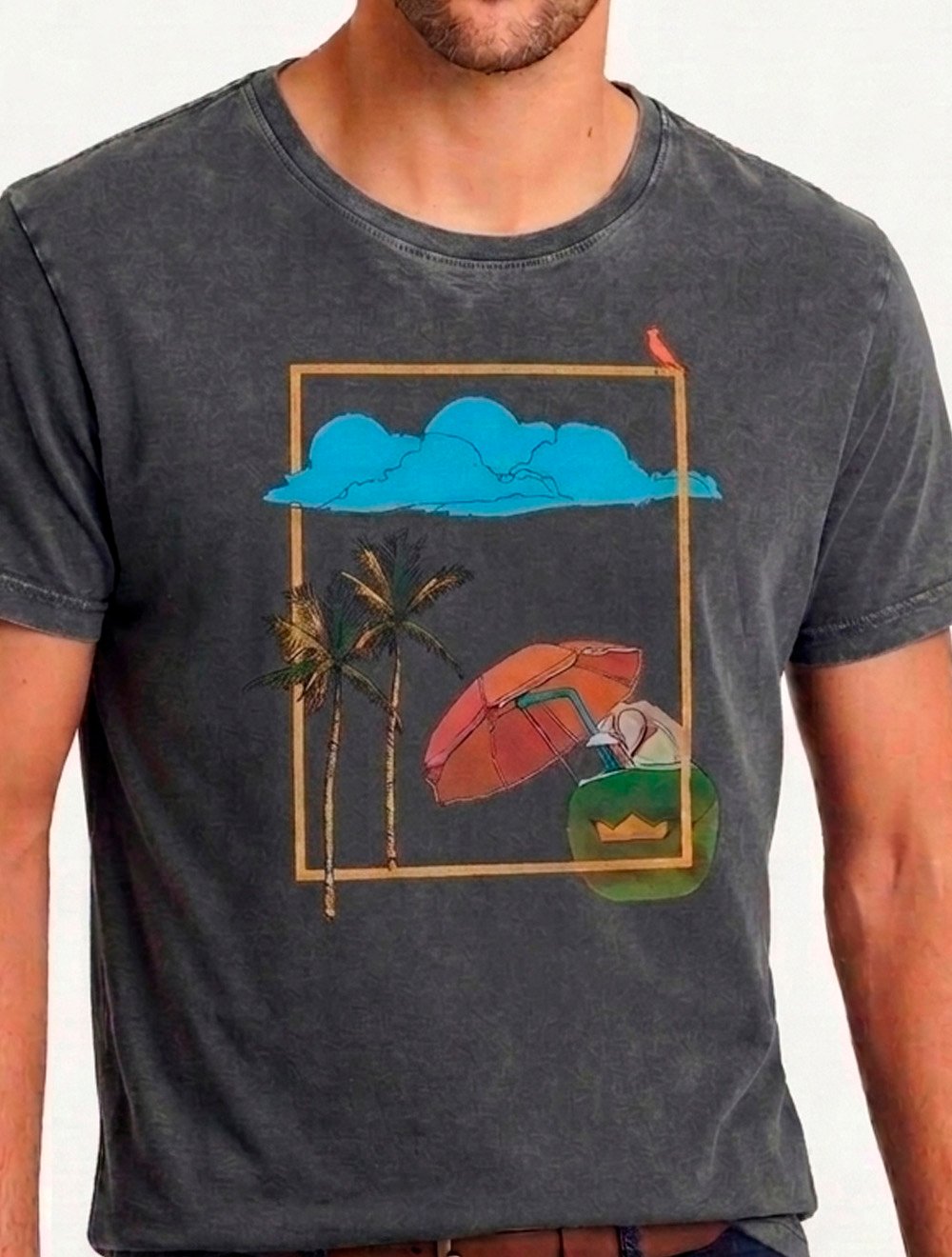 Camiseta Reserva Masculina Regular Summer Stoned Chumbo