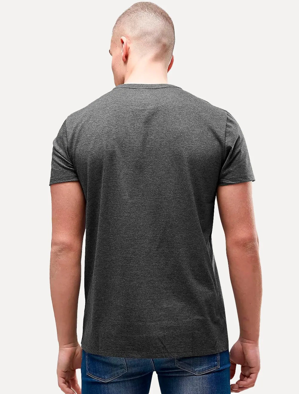 Camiseta Lacoste Masculina Classic Pima Cotton Logo Chumbo Mescla