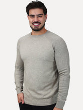Suéter Dixen Masculina Tricot Manga Longa Raglan Gola Careca Areia