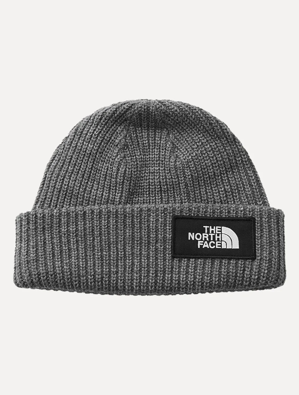 Gorro/Touca The North Face Masculino Salty Lined Beanie Cinza