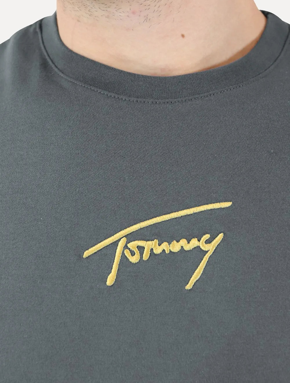 Camiseta Tommy Jeans Masculina Embroidered Signature Center Grafite