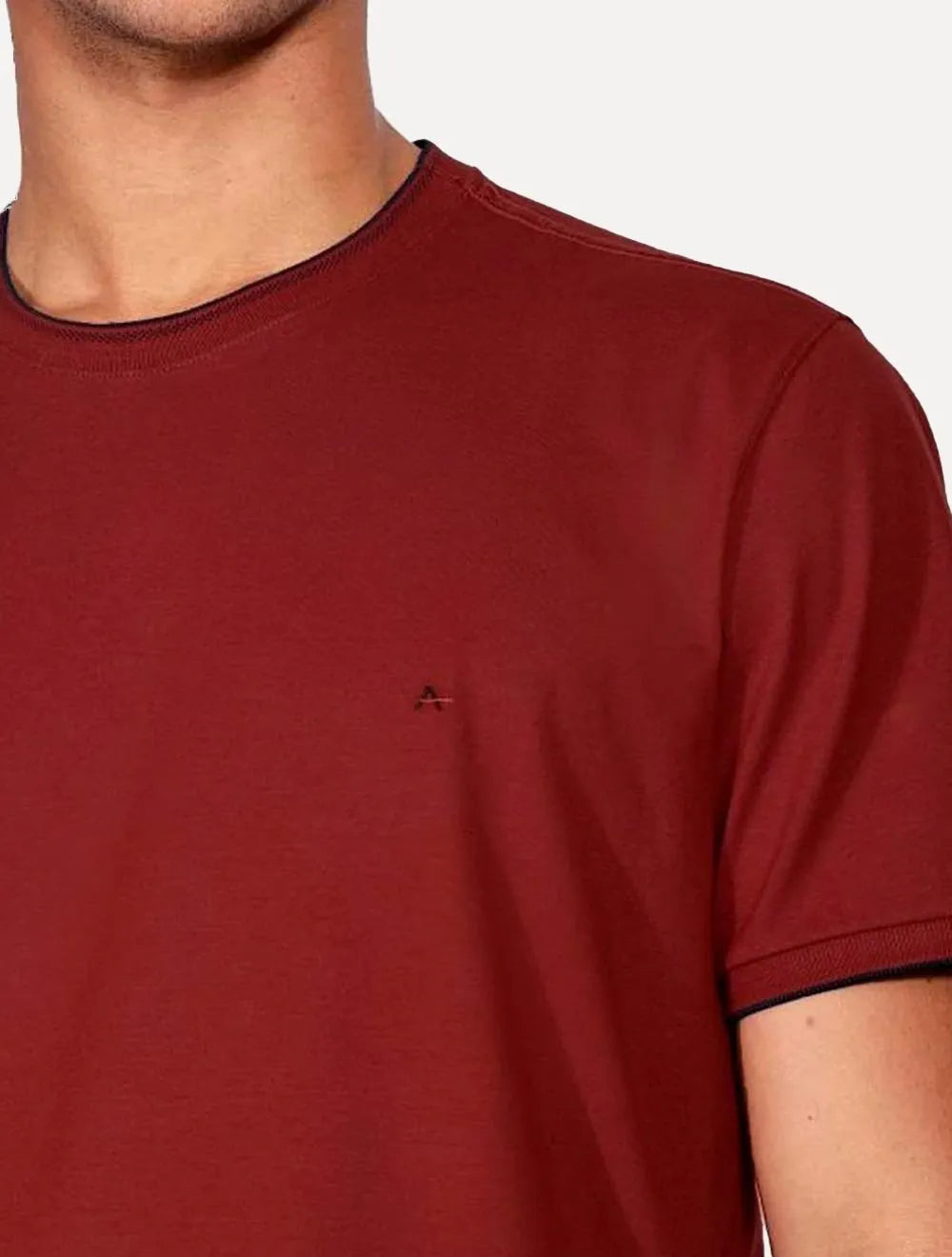 Camiseta Aramis Masculina Navy Friso Gola Vermelho