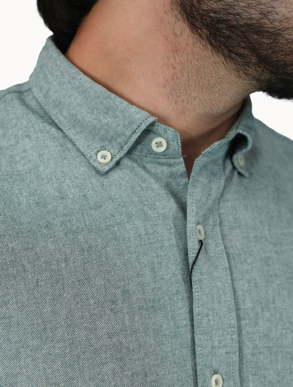 Camisa Aramis Masculina Slim Oxford Planalto Verde Claro