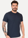 Camiseta Aramis Masculina Grey Friso Gola Light Logo Azul Marinho