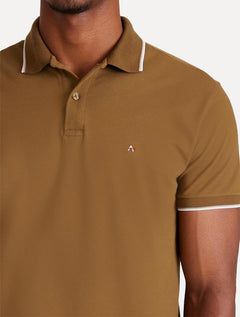 Polo Aramis Masculina Piquet Stripes Collar Tipped Verde Militar