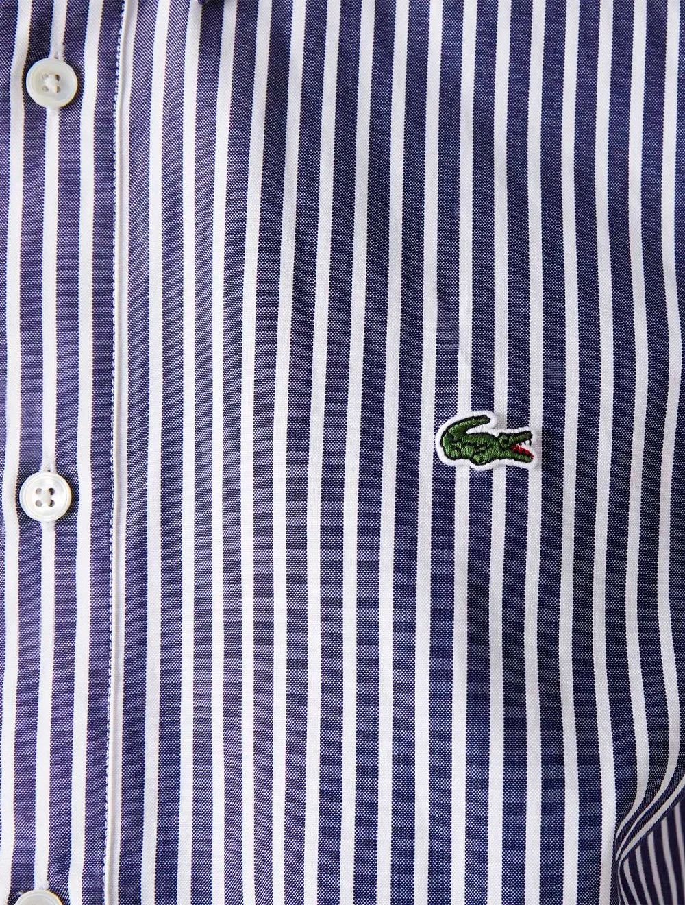 Camisa Lacoste Masculina Regular Striped Cotton Azul Marinho/ Branca