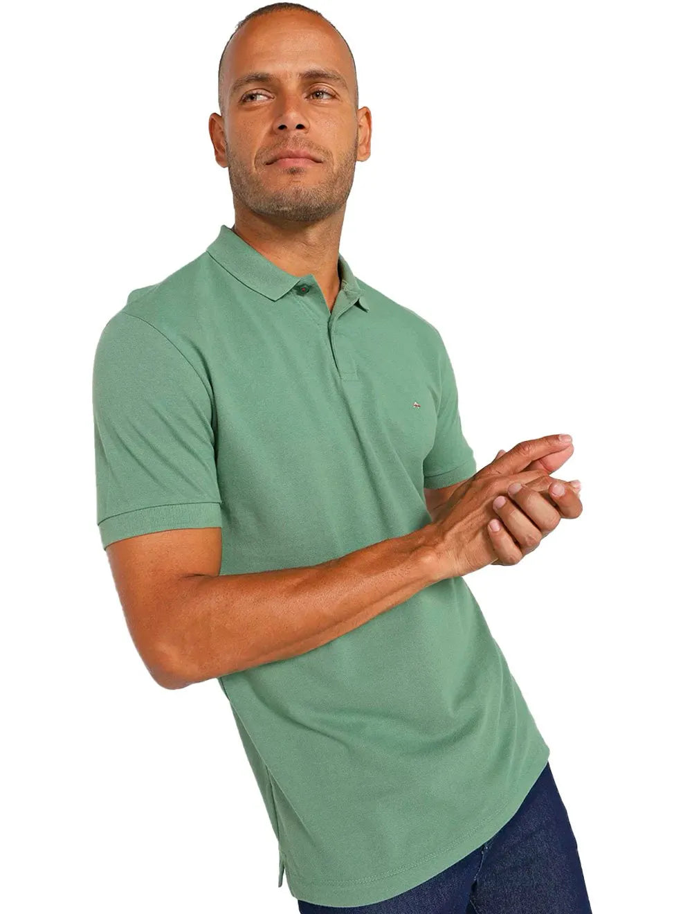 Polo Aramis Masculina Basic Piquet Verde Sálvia