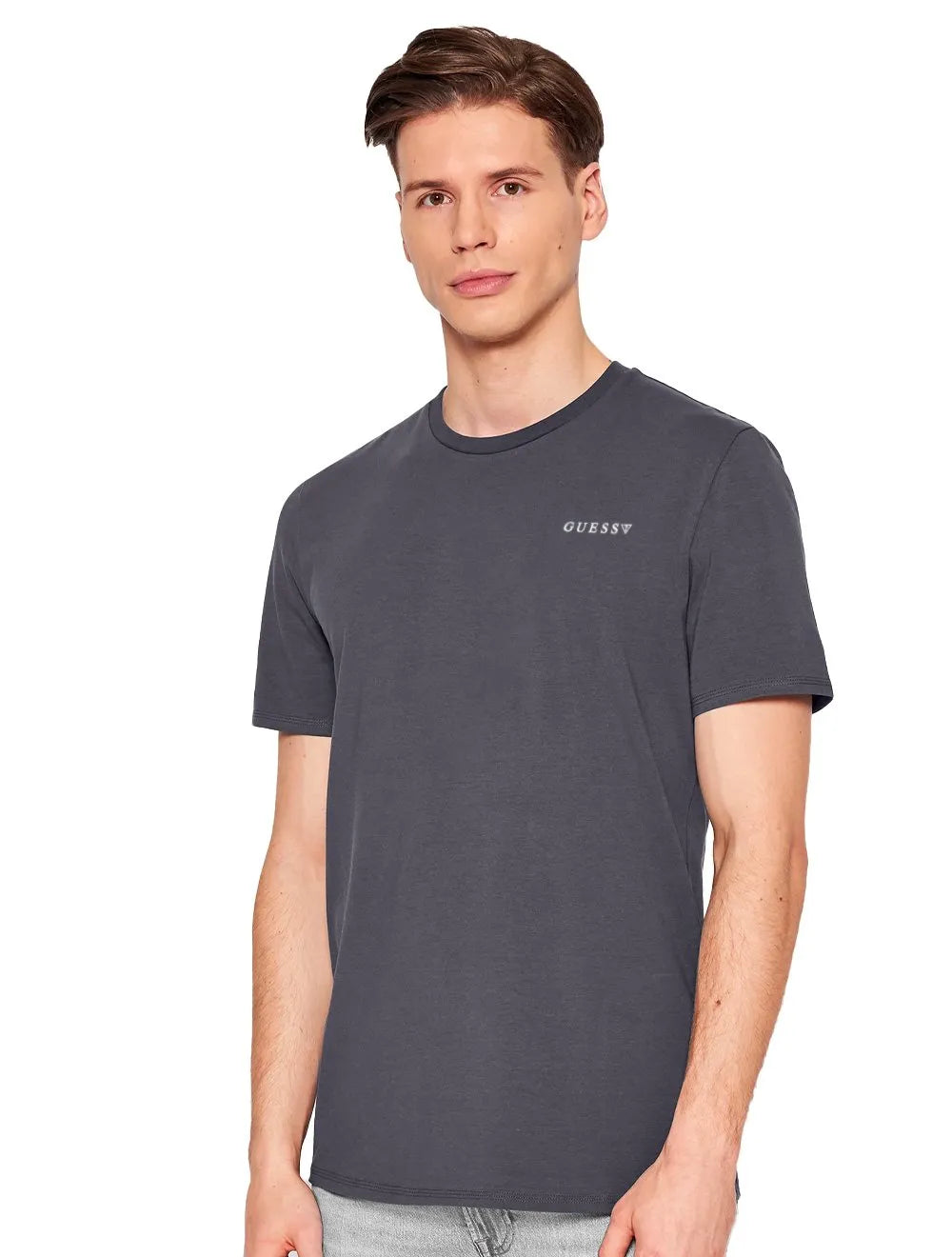 Camiseta Guess Masculina Light Small Silk Logo Cinza Médio