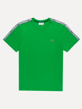 Camiseta Lacoste Masculina Regular Fit Listrada Logo Verde