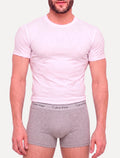 Cueca Calvin Klein Masculina Low Rise Trunk Cinza C11.02 CZ05 Pack 2UN