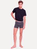 Cuecas Lacoste Boxer Long Colored Lettered Waist Cinza Pack 3UN