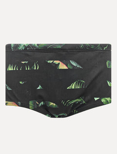 Sunga Calvin Klein Swimwear Listras Folhagem Vertical Verde Escuro