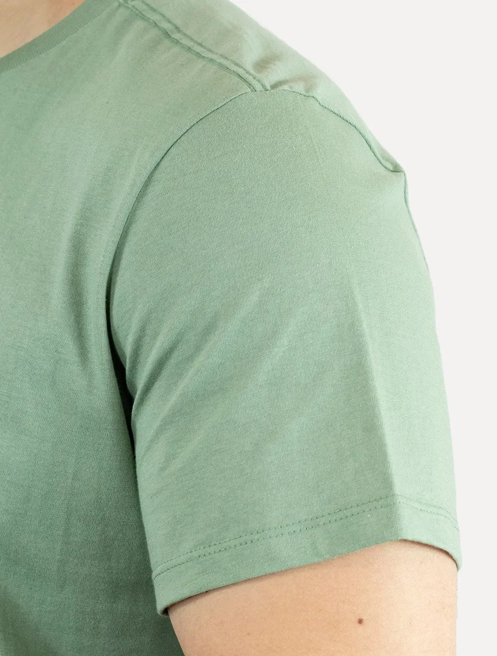 Camiseta Ellus Masculina Cotton Fine Easa Duocolor Verde Claro