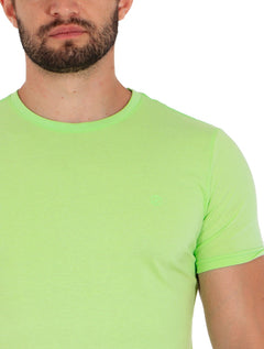 Camiseta Disky Masculina Essential Chá Verde Claro