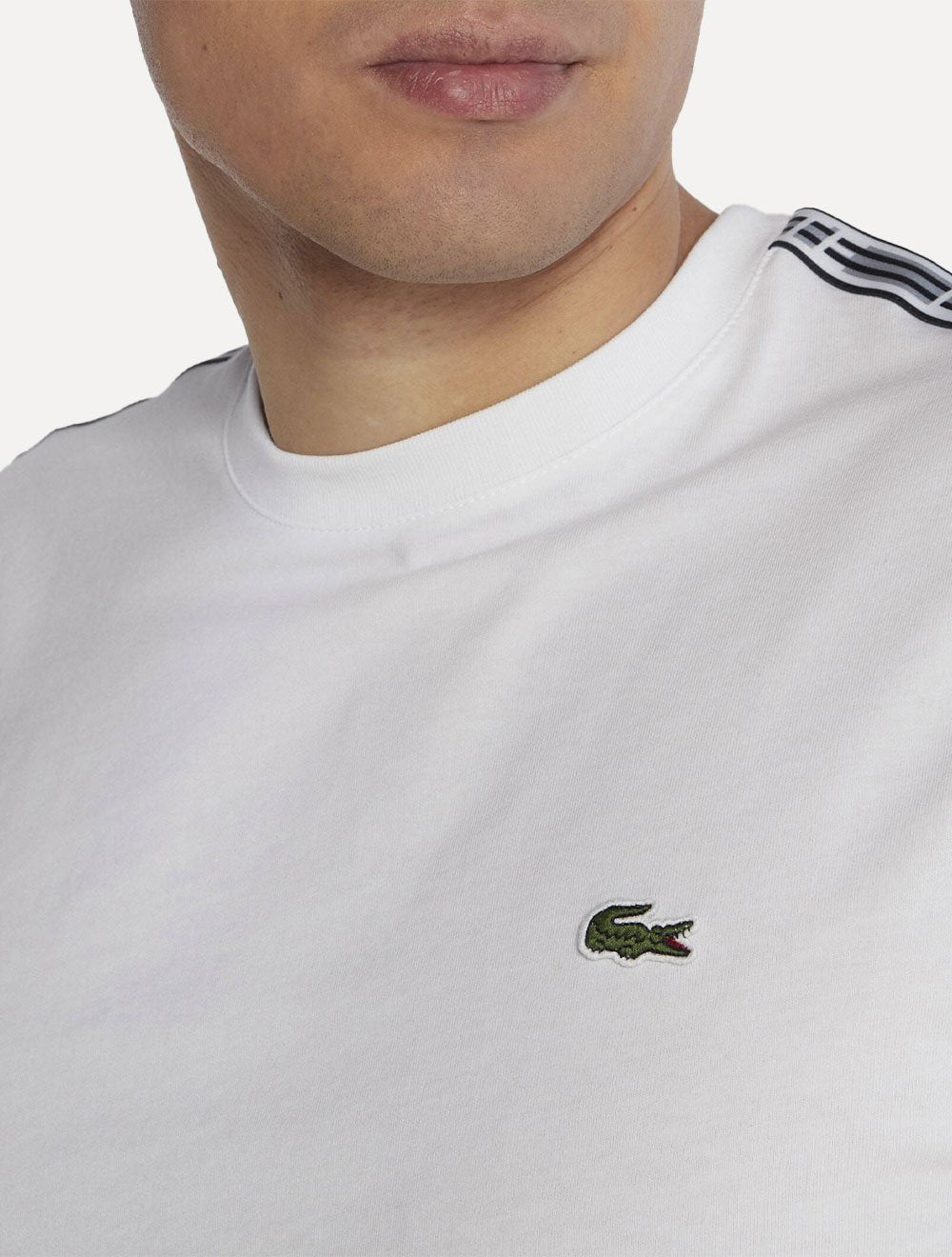 Camiseta Lacoste Masculina Regular Fit Listrada Logo Branca