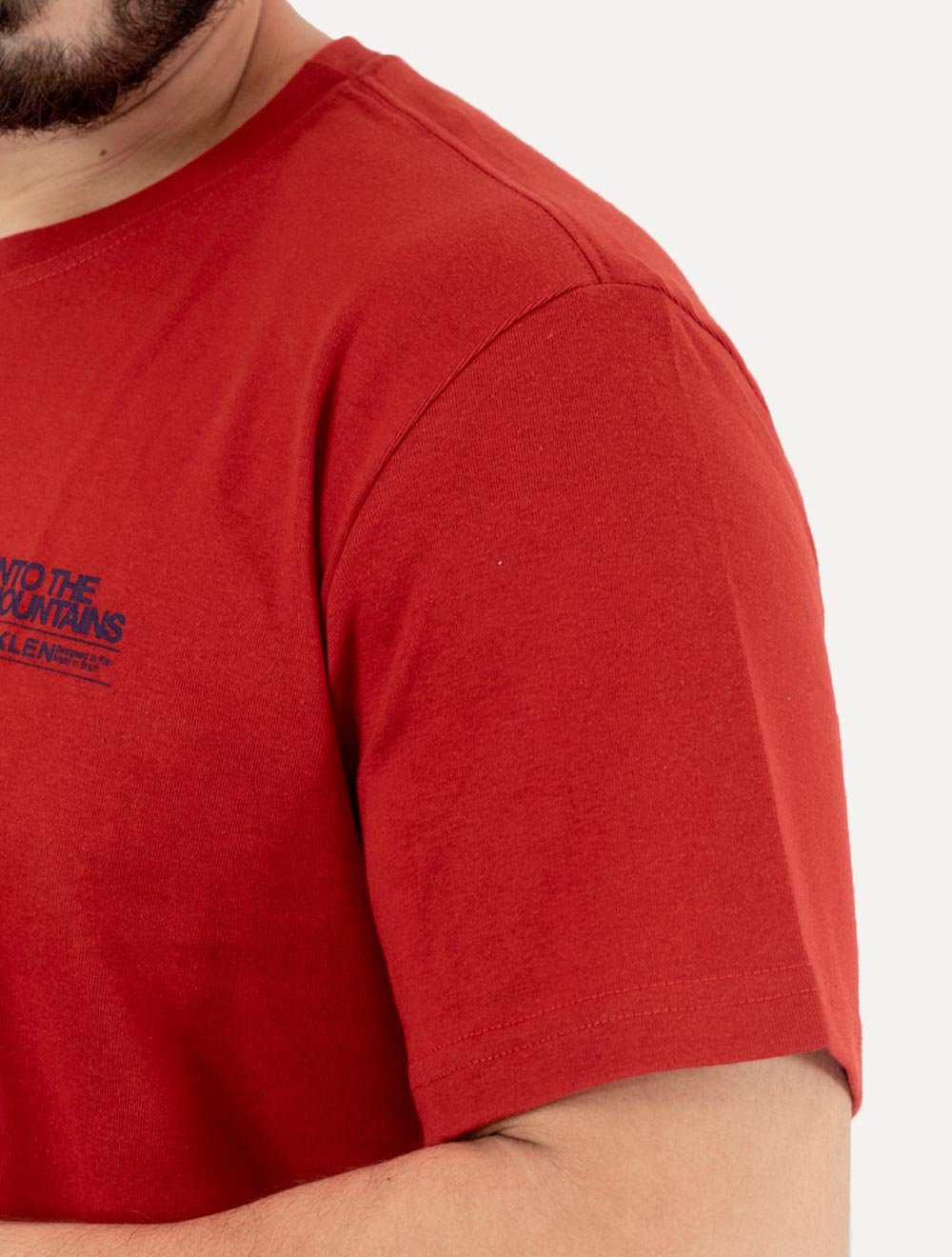 Camiseta Osklen Masculina Regular Big Shirt Carimbo Vermelho