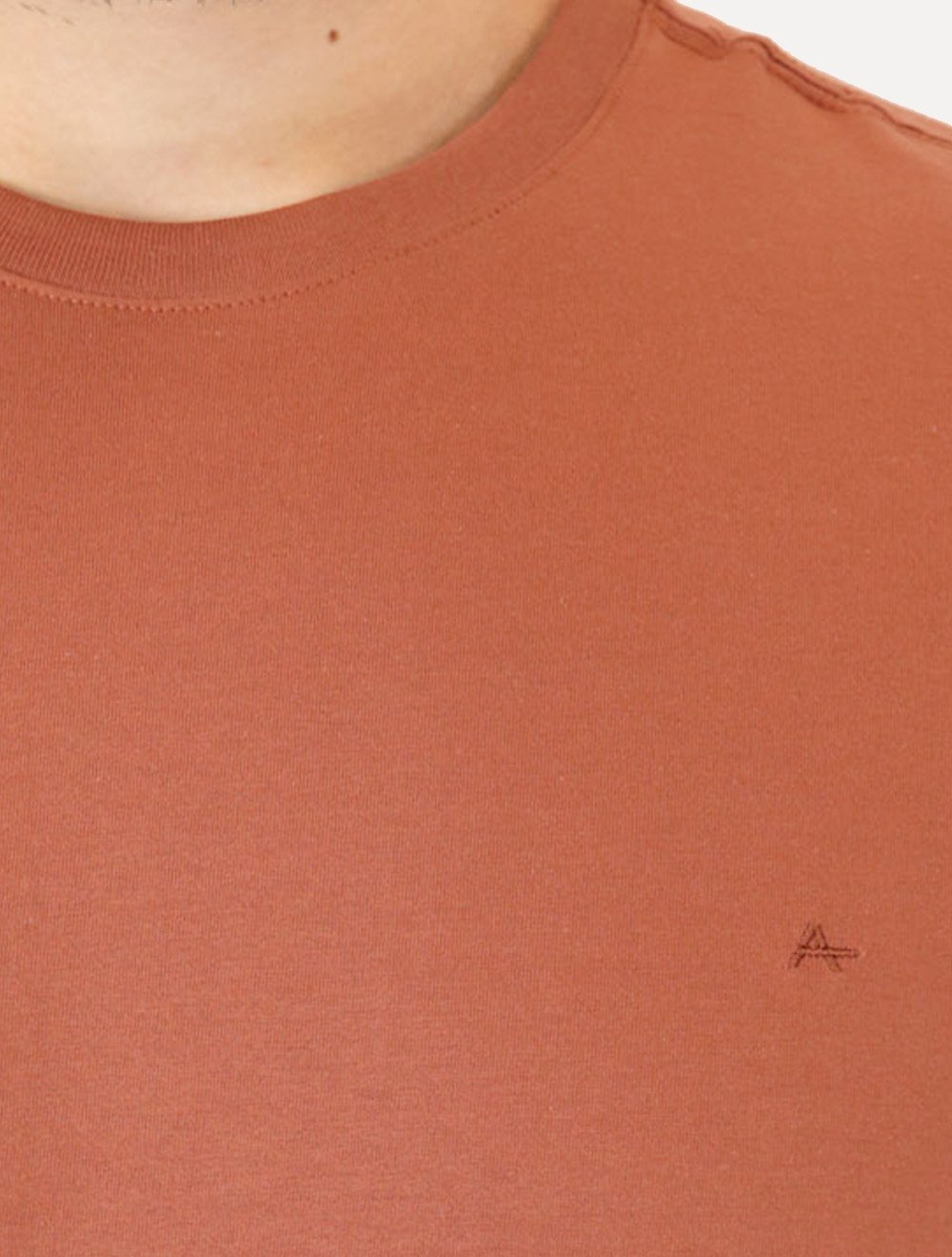 Camiseta Aramis Masculina Basic Lisa Mono Icon Terracota