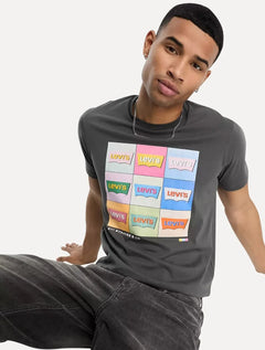 Camiseta Levis Masculina Graphic Crewneck Logo Grafite