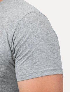 Camiseta Aramis Masculina Basic Lisa Light Logo Cinza Mescla