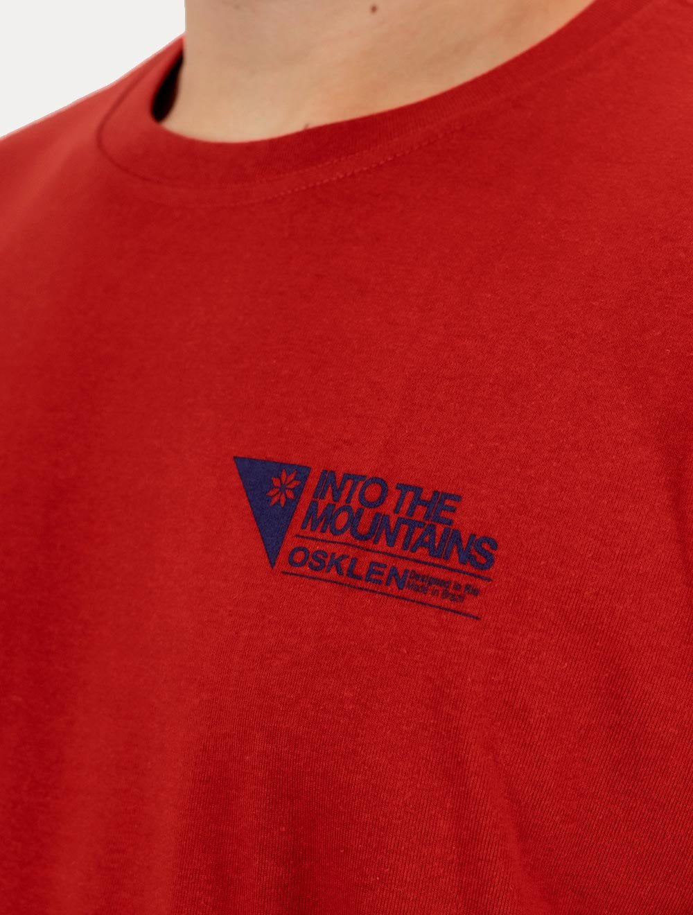 Camiseta Osklen Masculina Regular Big Shirt Carimbo Vermelho