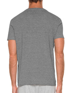 Camiseta Ellus Masculina Cotton Fine Classic Logo Mescla Cinza
