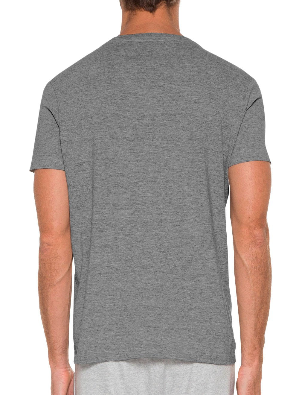 Camiseta Ellus Masculina Cotton Fine Classic Logo Mescla Cinza