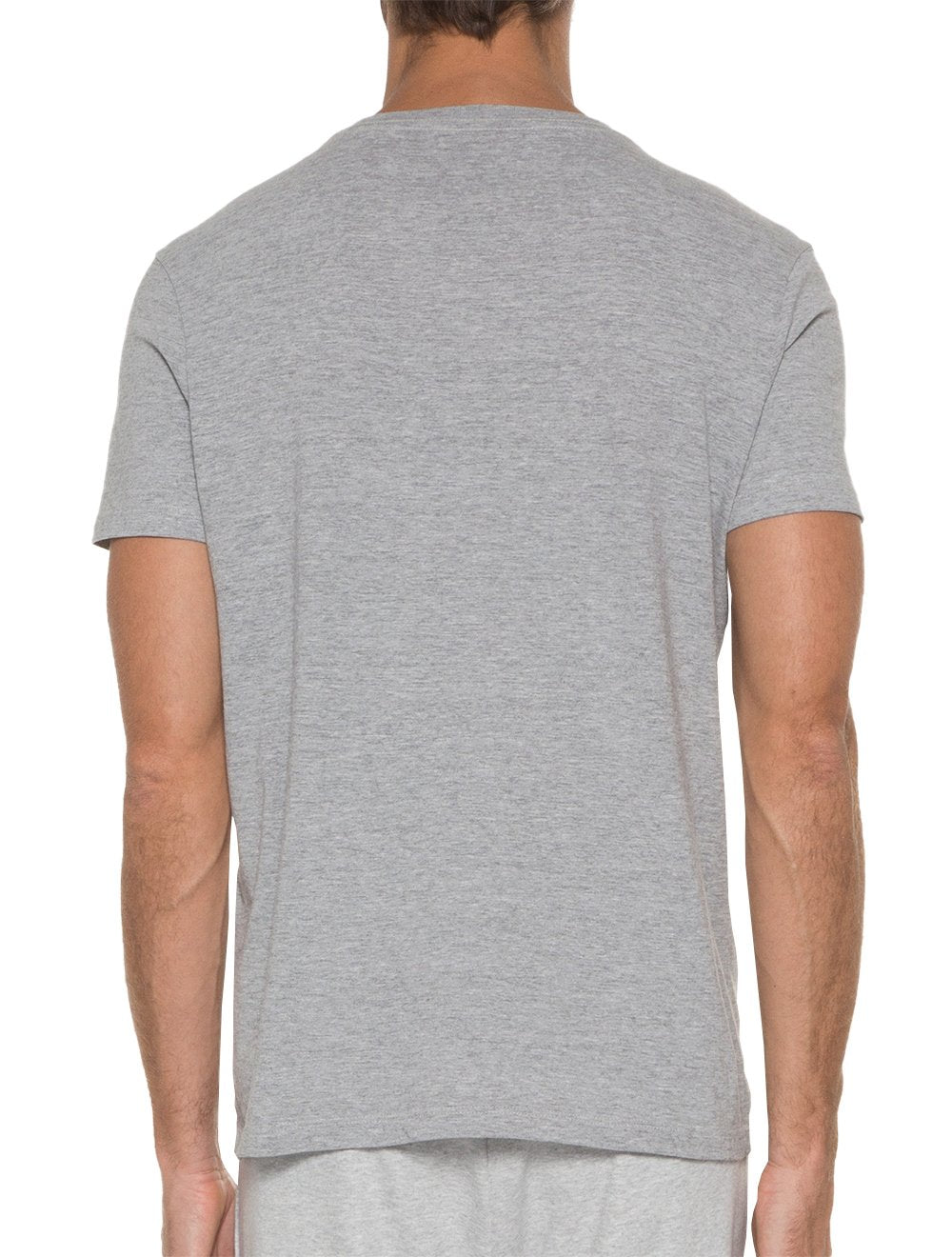 Camiseta Ellus Masculina Cotton Fine Classic Logo Mescla Cinza Claro