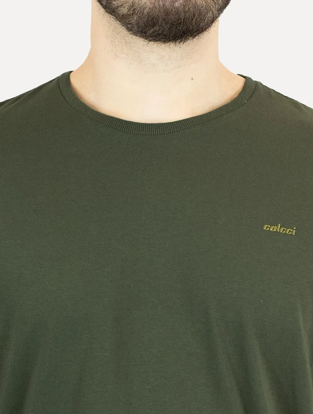 Camiseta Colcci Masculina Back To Basics Logo Verde Escuro