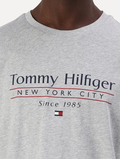 Camiseta Tommy Hilfiger Masculina Center Stack Cinza Mescla