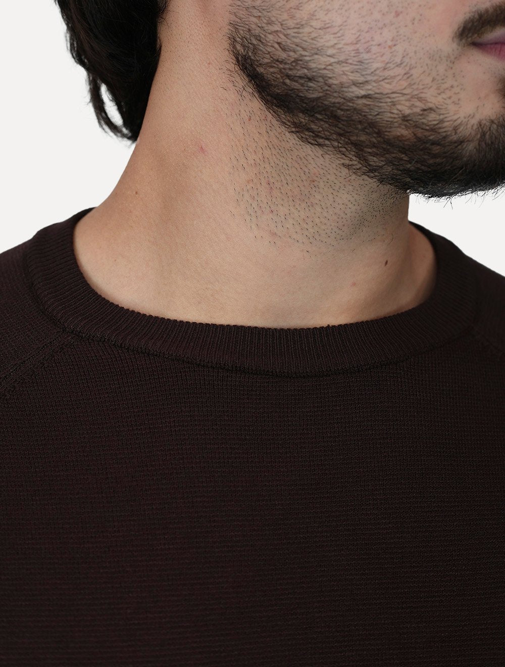 Suéter Dixen Masculina Tricot Manga Longa Raglan Gola Careca Marrom