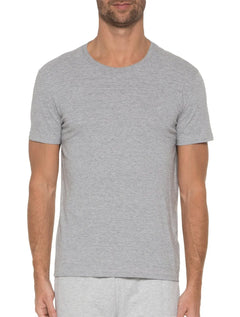 Camiseta Ellus Masculina Cotton Fine Classic Logo Mescla Cinza Claro