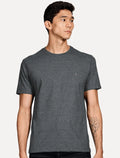 Camiseta Aramis Masculina Basic Light Logo Lisa Grafite