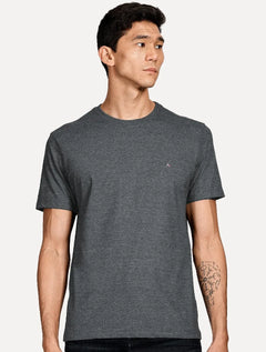 Camiseta Aramis Masculina Basic Light Logo Lisa Grafite