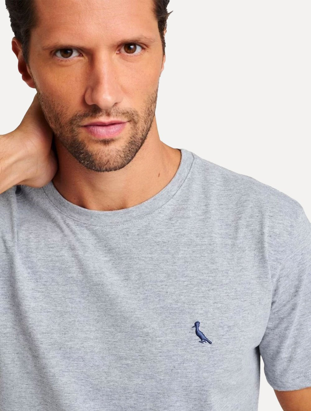 Camiseta Reserva Masculina Regular Paris Neck Logo Cinza Mescla