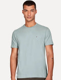 Camiseta Aramis Masculina Basic Lisa Cinza