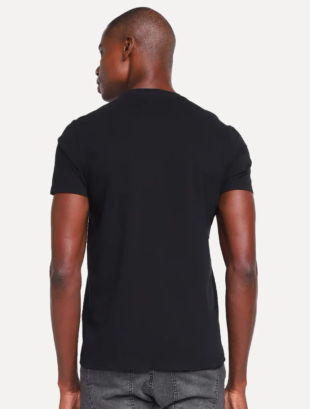 Camiseta Ellus Masculina Cotton Fine Aquarela Grey Classic Preta