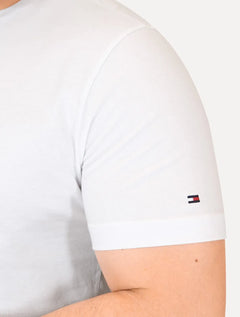 Camiseta Tommy Hilfiger Masculina Linear Flag Graphic Branca