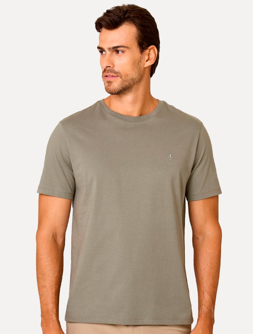 Kit Camisetas Dudalina Malha Verde Listrado e Verde Médio