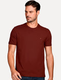 Camiseta Aramis Masculina Basic Lisa Light Icon Marrom Médio