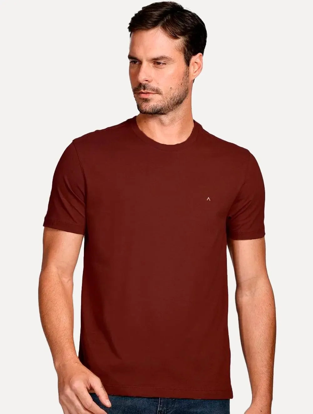Camiseta Aramis Masculina Basic Lisa Light Icon Marrom Médio