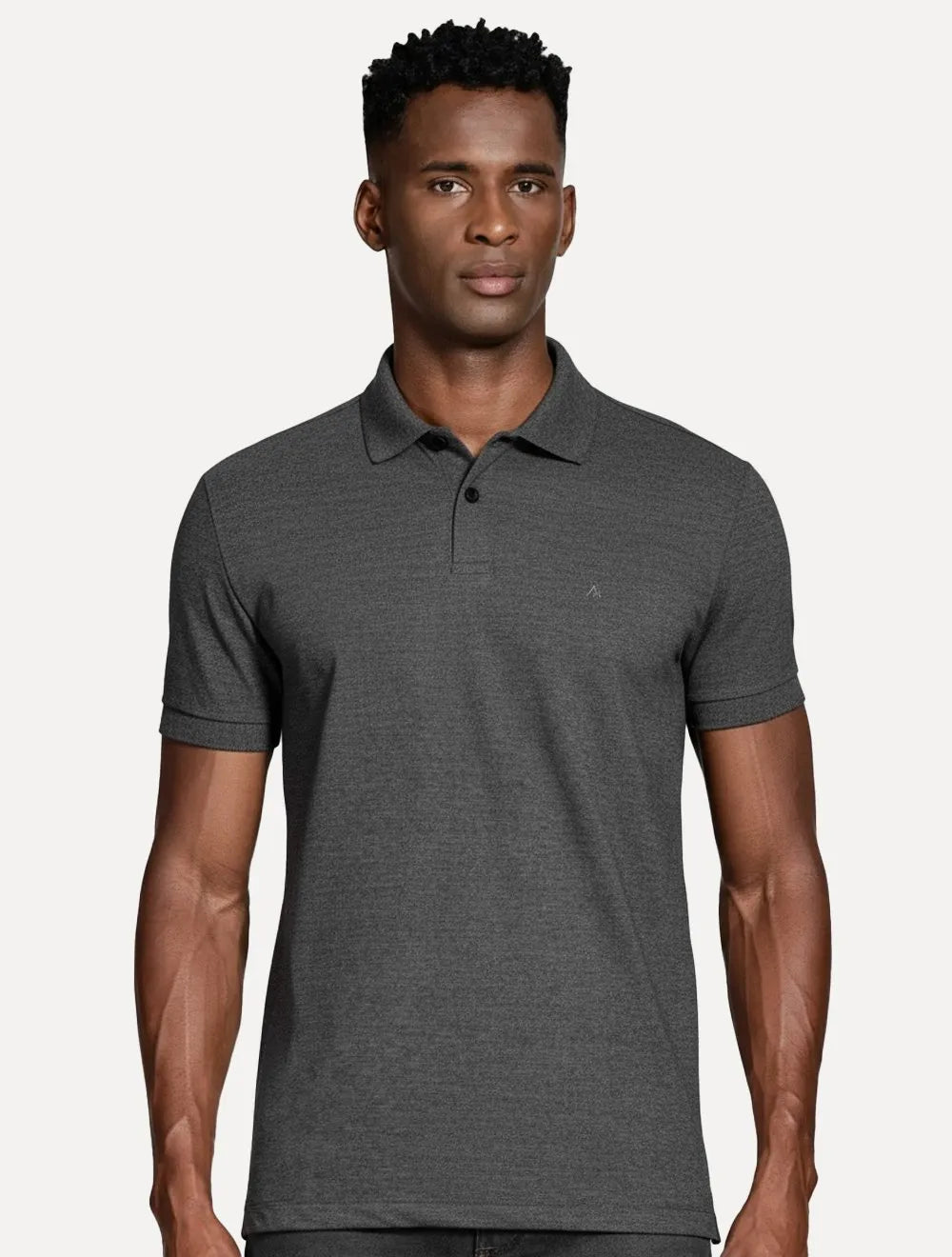 Polo Aramis Masculina Piquet Basic Mono Icon Grafite Mescla