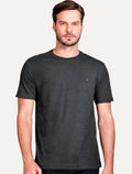 Camiseta Aramis | Masculina Basic Lisa Light Logo Grafite Mescla