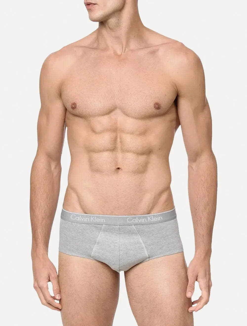 Cuecas Calvin Klein Brief Cotton Print Cinza Mescla Pack 2UN